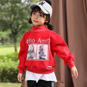 小猪宾果总部在哪里?