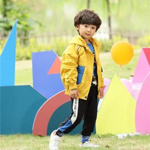 小猪宾果总部在哪里?小猪宾果定位高吗？